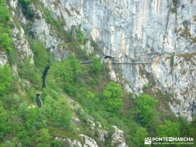 Picos de Europa-Naranjo Bulnes(Urriellu);Puente San Isidro; el caminito del rey la pinilla